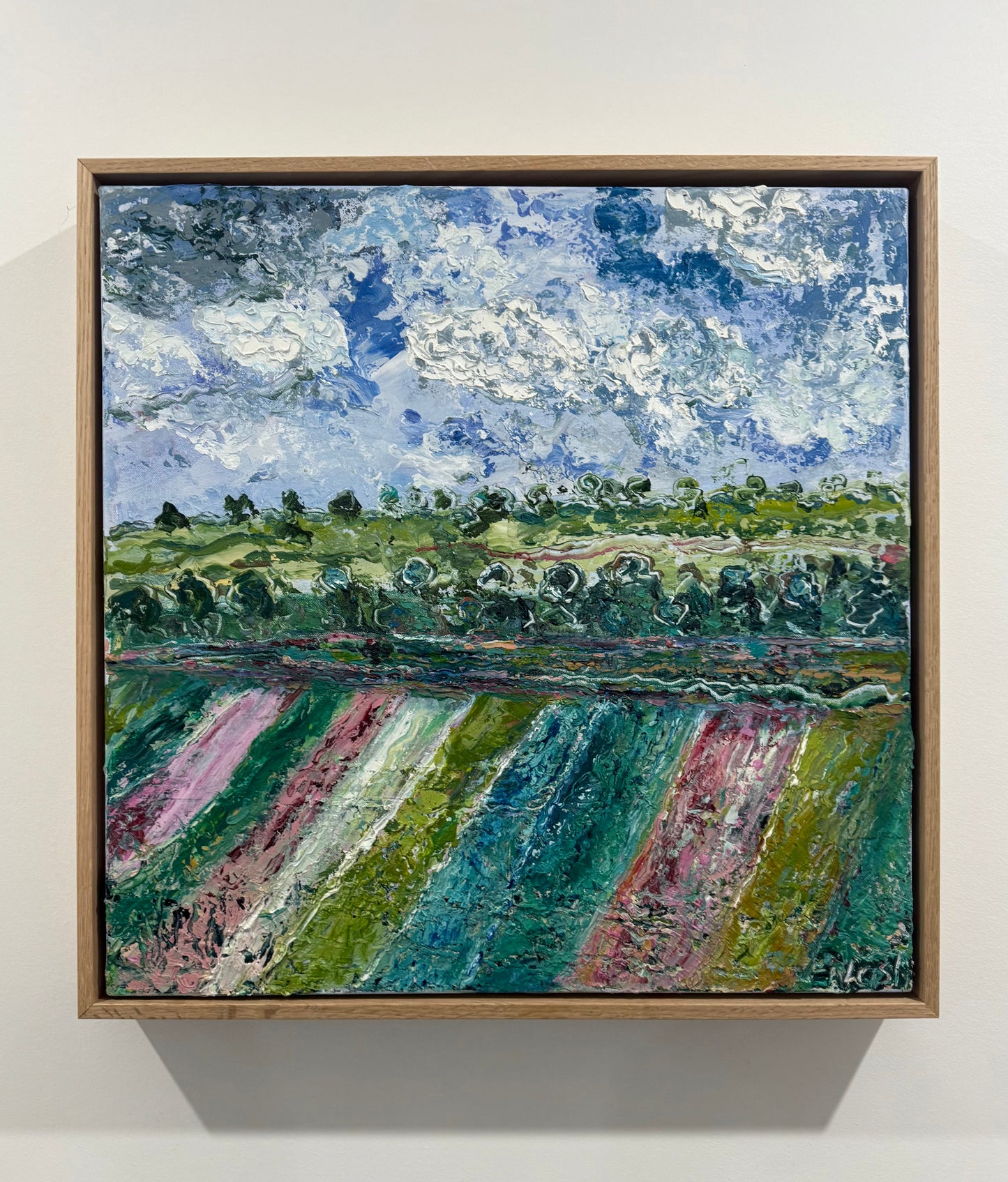 'Coolah Stripes',  Coolah NSW