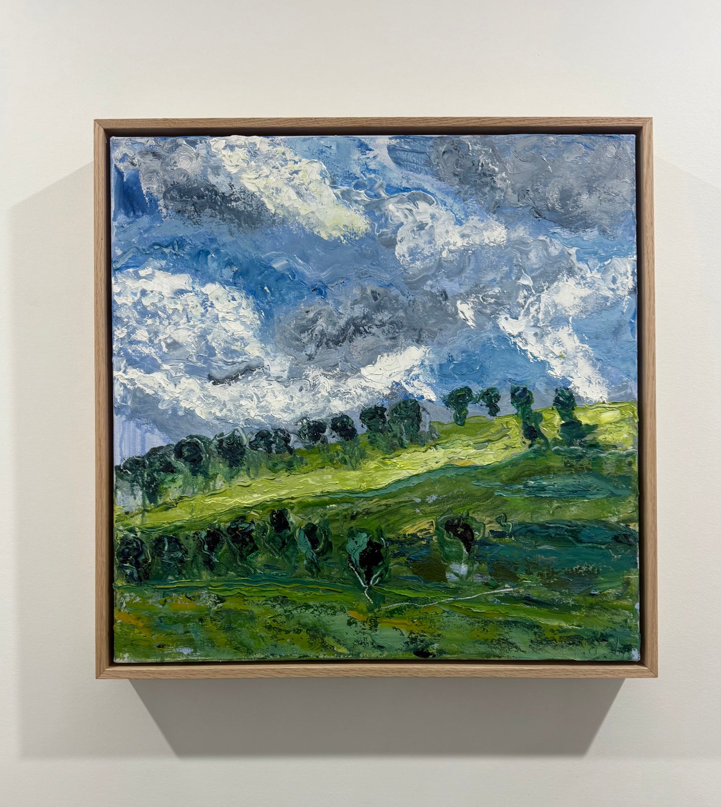 'Coolah Hills', Coolah NSW