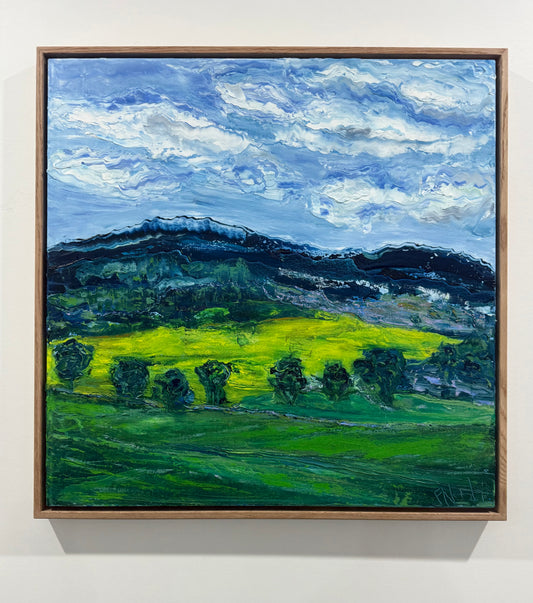 'Canola Blues', Coolah NSW