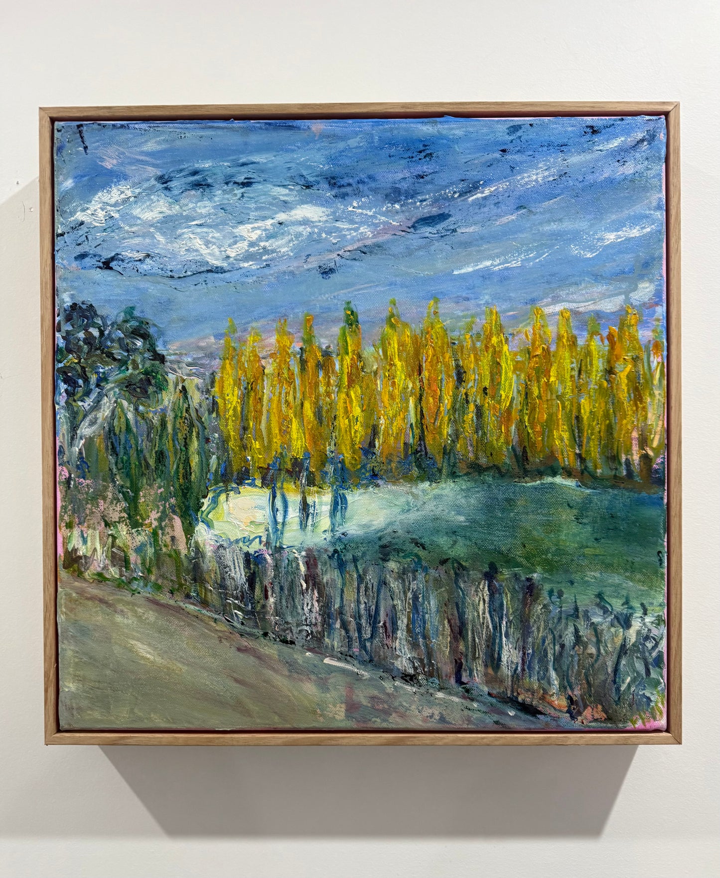 'Poplars in Autumn', Armidale NSW
