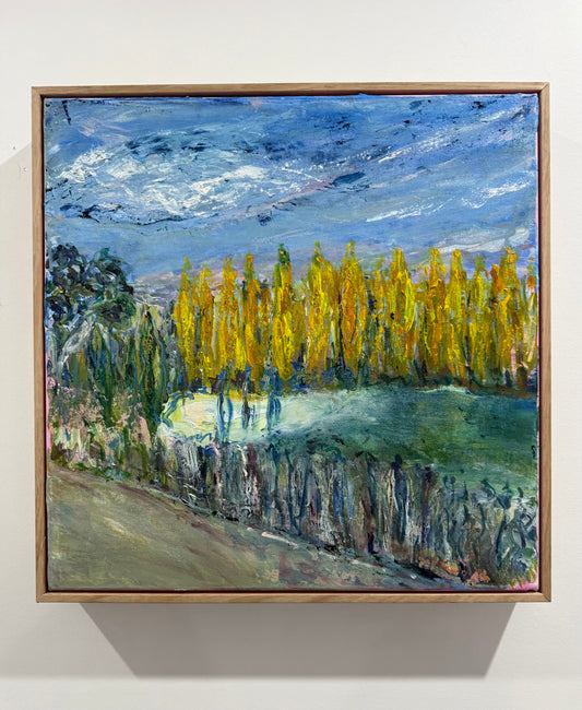 'Poplars in Autumn', Armidale NSW