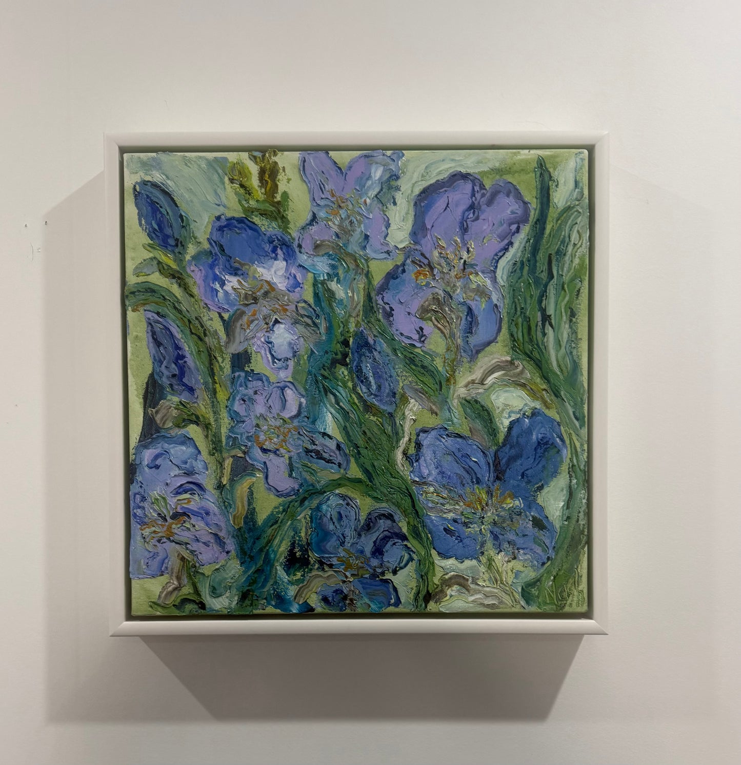 'Iris Blues in the Breeze'