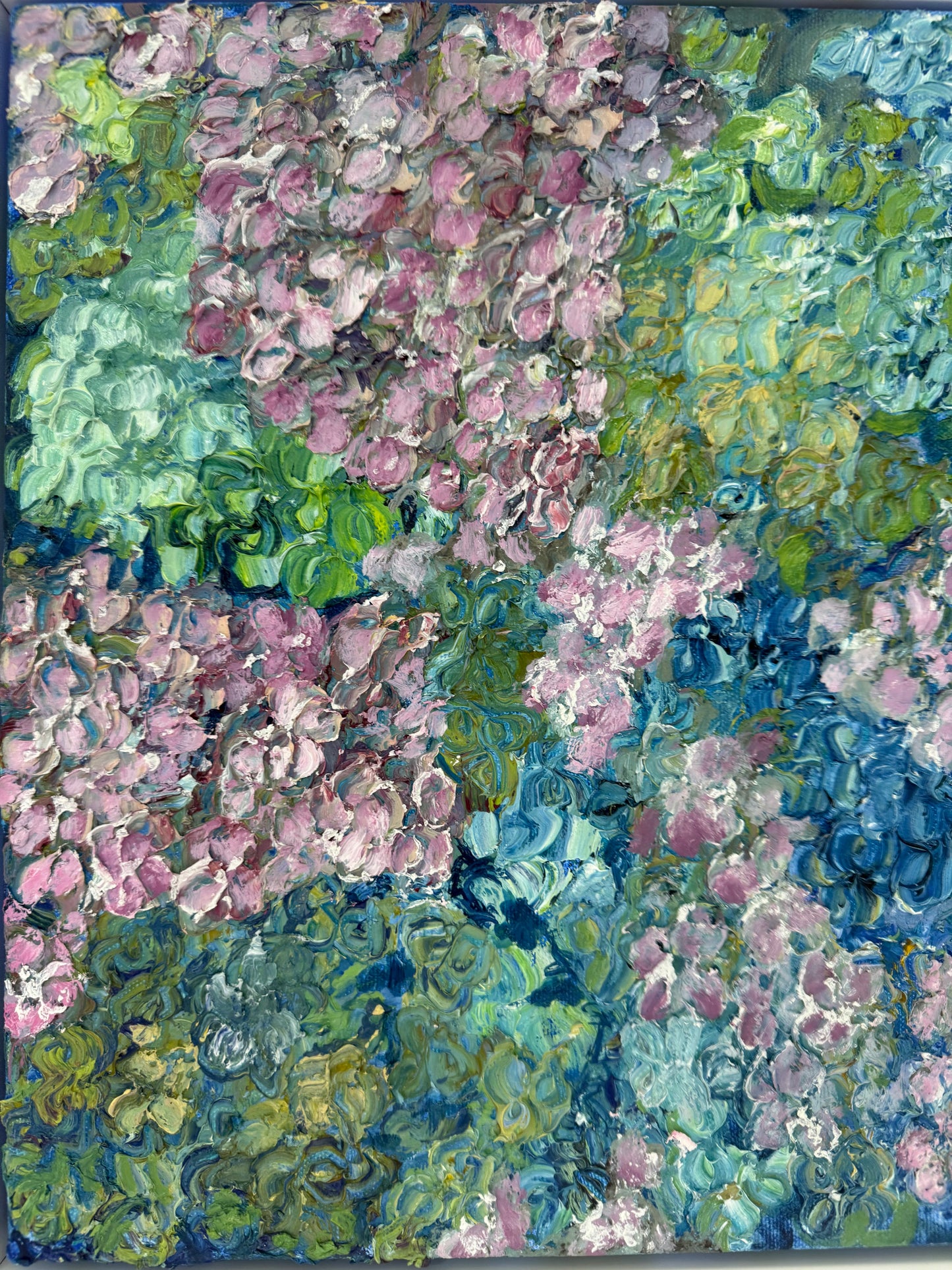 'Hydrangea Magic' 1