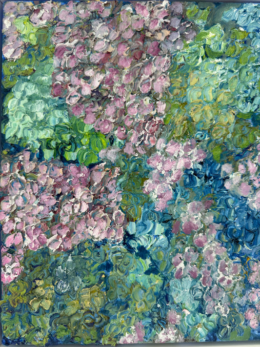 'Hydrangea Magic' 1