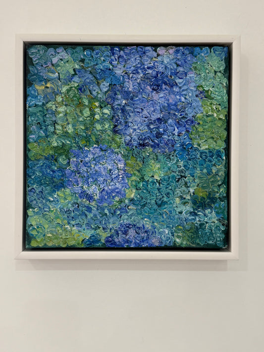 'Hydrangea Blues' 1
