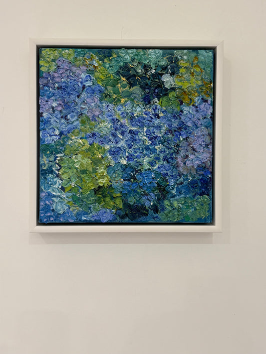 'Hydrangea Blues' 1